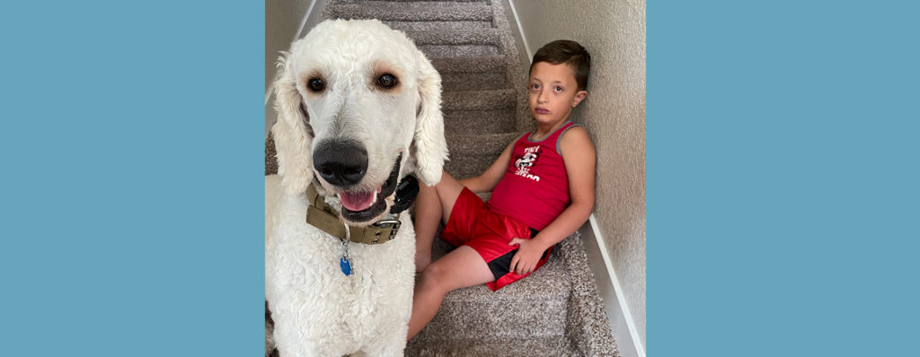 boy and service dog